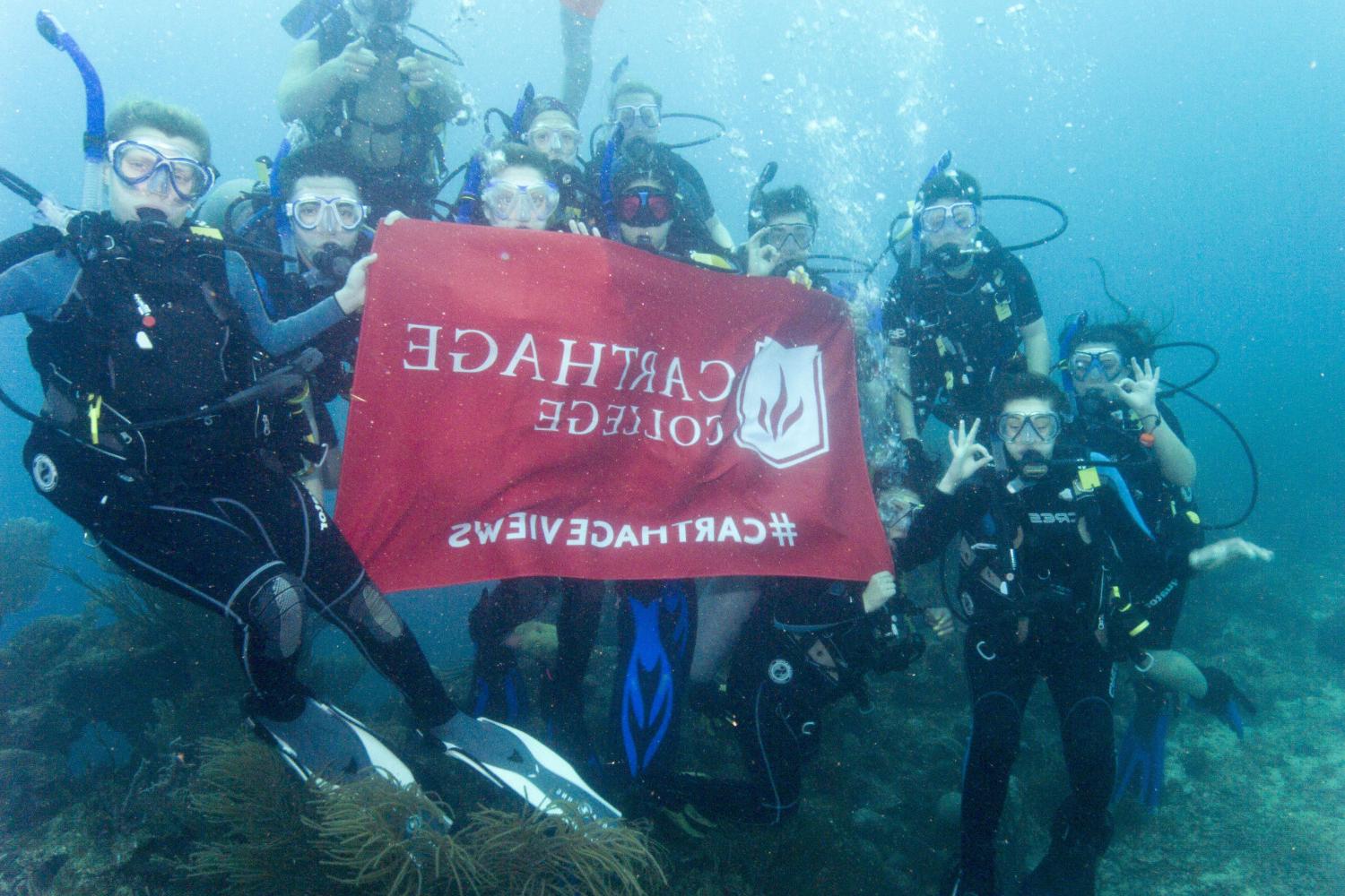 学生们手持<a href='http://bcke.ngskmc-eis.net'>博彩网址大全</a>旗帜，在j学期洪都拉斯游学之旅中潜水.